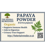 Papaya Powder | Carica papaya | Natural Fruit Powder | 100g - $15.96
