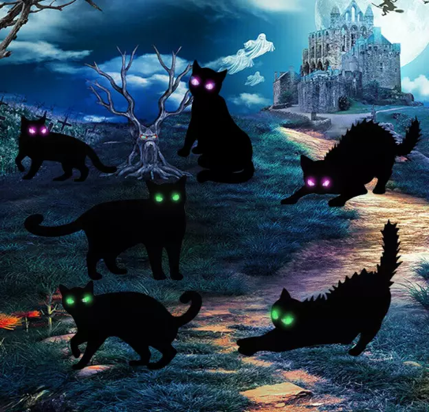 6 Pack Halloween LED Glowing Eyes Black Cat Glow in the Dark with Lights... - €24,57 EUR