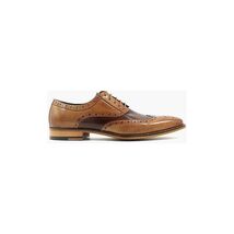 Stacy Adams Tinsley Wingtip Oxford Mens Shoes Lace Up Tan Multi 25092-238 image 2