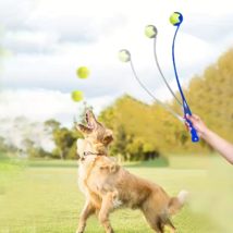 Pet Tennis Ball Launcher Stick – Durable Dog Toy for Training &amp; Outdoor ... - $206.71 MXN