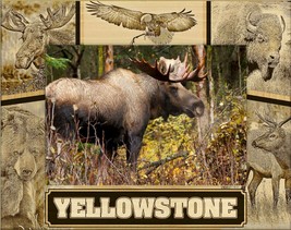Yellowstone National Park Wildlife Collage Laser Engraved Picture Frrame... - £24.77 GBP