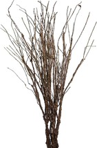 Misswarm 10 Pcs. Lifelike Bendable Artificial Branch Flower Dried Stems, Curly - £25.24 GBP