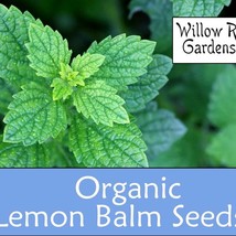 New Organic Lemon Balm Seeds 50 Seeds Herb Seeds Lemon Balm Plant Fresh Garden U - $9.98