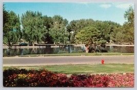 Postcard Idlewild Park Reno Nevada Truckee River - $3.75