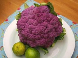 Broccoli Purple Sprouting 350 Seeds - $10.38