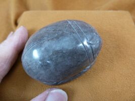 (Y-SCA-711) Silver obsidian Scarab beetle bug gemstone Egyptian bugs fig... - €16,82 EUR