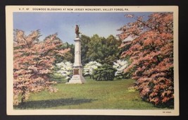 Valley Forge PA Pennsylvania, New Jersey Monument, Dogwoods, Vintage Postcard - £7.15 GBP
