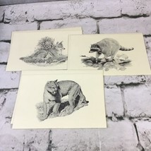 Wildlife Defenders Note Cards Beautifully Illustrated Lot Of 3 Cougar Raccoon - £9.46 GBP