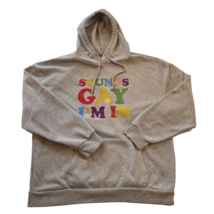 Sounds Gay I&#39;m In Gray Hoodie - XXL -Causal-Pullover-Gay Pride - LGBTQIA... - $23.88