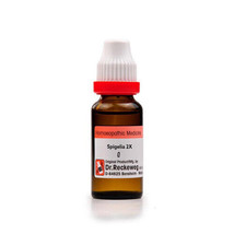 2x Dr Reckeweg Spigelia Q Mother Tincture 20ml - £18.92 GBP