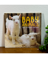 2025 Mini Wall Calendar Baby Animals 5.6 x 5.3 inches Llama Giraffe Bunn... - $9.74