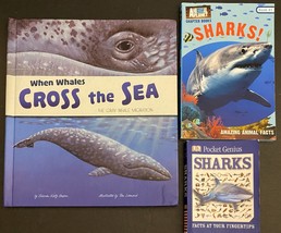 3 books: When Whales Cross the Sea / Animal Planet Sharks / Pocket Genius Sharks - £8.79 GBP