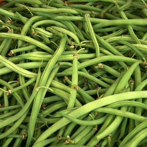 Kentucky Wonder Green Bush Bean Seeds 50 Ct  - $13.15