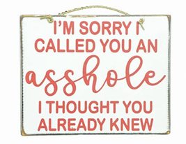 Handmade Sign &quot;I AM SORRY I CALLED YOU AN ASSHOLE I THOUGHT YOU ALREADY ... - £19.37 GBP
