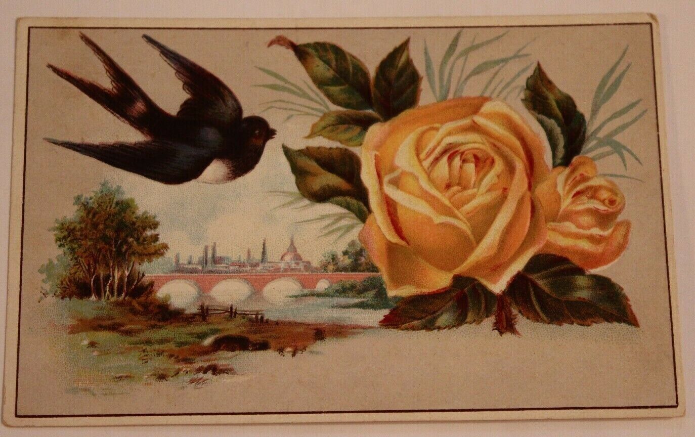 Victorian Trade Card Black Bird Flying by a Yellow Rose VTC 3 - £3.72 GBP