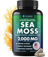 Irish Sea Moss Synergy 4 In 1 Blend For Immunity, Energy & Digestion - 120 Caps - $19.99