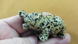 (Y-HIP-701) black white roaring HIPPO Hippopotamus Gemstone carving figu... - $17.53