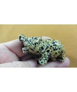 (Y-HIP-701) black white roaring HIPPO Hippopotamus Gemstone carving figu... - $17.53