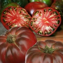 10 Cherokee Purple Tomato Seeds  - $4.13