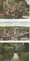 Portland Oregon Postcard Postcard Lot Sectional View Roses &amp; City Park x3  1912 - £3.71 GBP