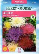 GIB Aster Pastel Color Mix Flower Seeds Ferry Morse  - £7.86 GBP