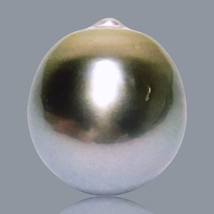 RARE 22.6 Carat 14.1 x 15.8mm Tahitian South Sea Peacock Gray Oval Loose Pearl - £37.19 GBP