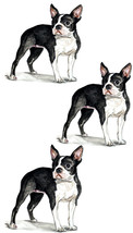 Boston Terrier Small Dog Pet Decal Sticker - Auto Car Truck RV Cell Cup Boat - £5.46 GBP