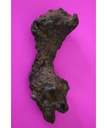 Giant Lizard Poop 5 Million Years Old Coprolite Genuine Fossil Dino Girl... - $29.99