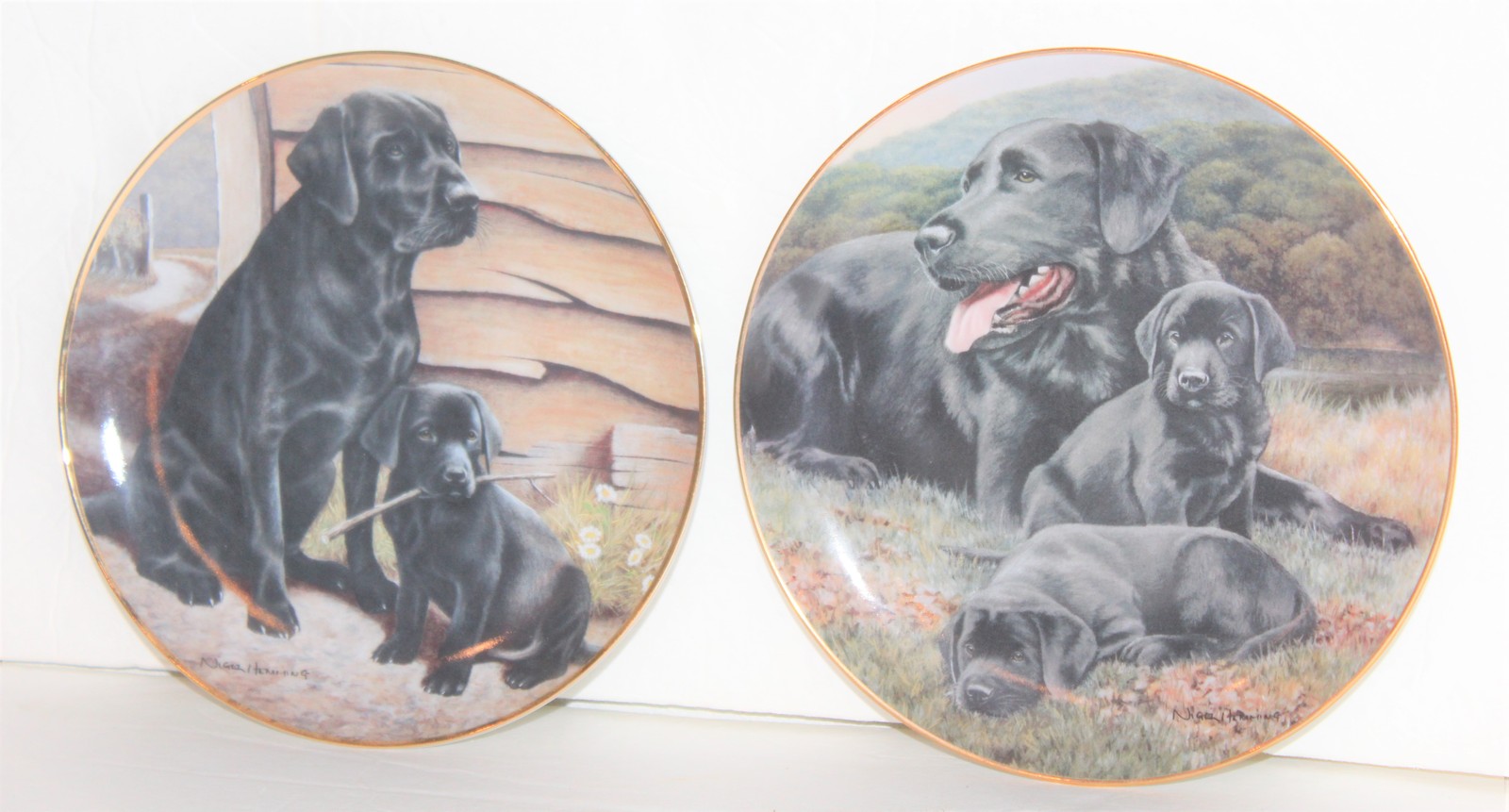 Collector Plates Labradors Collection from The Franklin Mint Nigel Hemming - £11.19 GBP