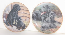 Collector Plates Labradors Collection from The Franklin Mint Nigel Hemming - $14.00