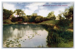 Springtime View of Lagoon Lincoln Park Chicago Illinois IL UNP DB Postcard Y2 - $3.91