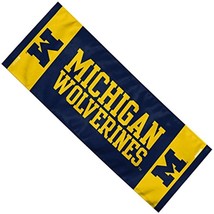 Mission Hydro Active MICHIGAN WOLVERINES COOLING TOWEL 12&quot; X 30&quot;---X98 - £13.74 GBP
