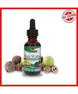 Black Walnut Hull Extract 1oz - Alcohol-Free &amp; Digestive Health Booster - $443.51 MXN