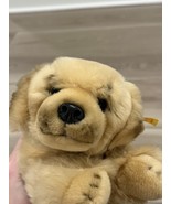 Steiff Stuffed Animal Dog Golden Retriever Hektor 080661 - $64.34