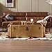 interoknack Vintage Industrial Aluminum & Leather Trunk Coffee Table  Antique B Item image 4
