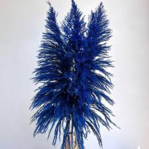 Bulish Black Pampas Grass 400 PCS Seeds - $12.32