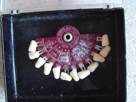 Vintage Dentist Teeth Display from Dentists Supply Company of NY LOOK - $1,189.70 MXN