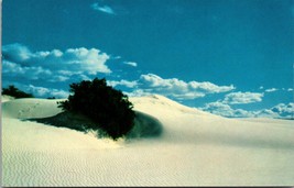 White Sands National Monument New Mexico Postcard Unposted - £7.57 GBP