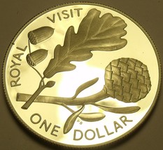 Selten Silber Beweis Neuseeland 1981 Dollar ~ 38k Minted ~ Englisch Eiche ~ - $41.14