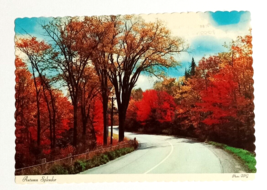 Autumn Splendor Road Pocono Mountains PA Fall Scalloped Dexter Postcard 1950s - £3.13 GBP