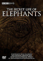 The Secret Life Of Elephants DVD (2009) Iain Douglas Hamilton Cert E Pre-Owned R - £14.87 GBP