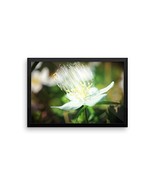 Framed Art Flower Poster - Ready To Hang Picture - Wall Decor - $60.05 CAD