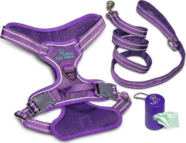 Katziela Dog Harness Walking Kit and Leash Set Purple Medium for Dogs Pa... - £19.26 GBP