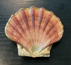 Flat Seashell Scarf Clip Beach Shell RARE VTG - £15.82 GBP