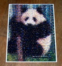 Amazing PANDA Bear Wild Animals Montage - £9.05 GBP