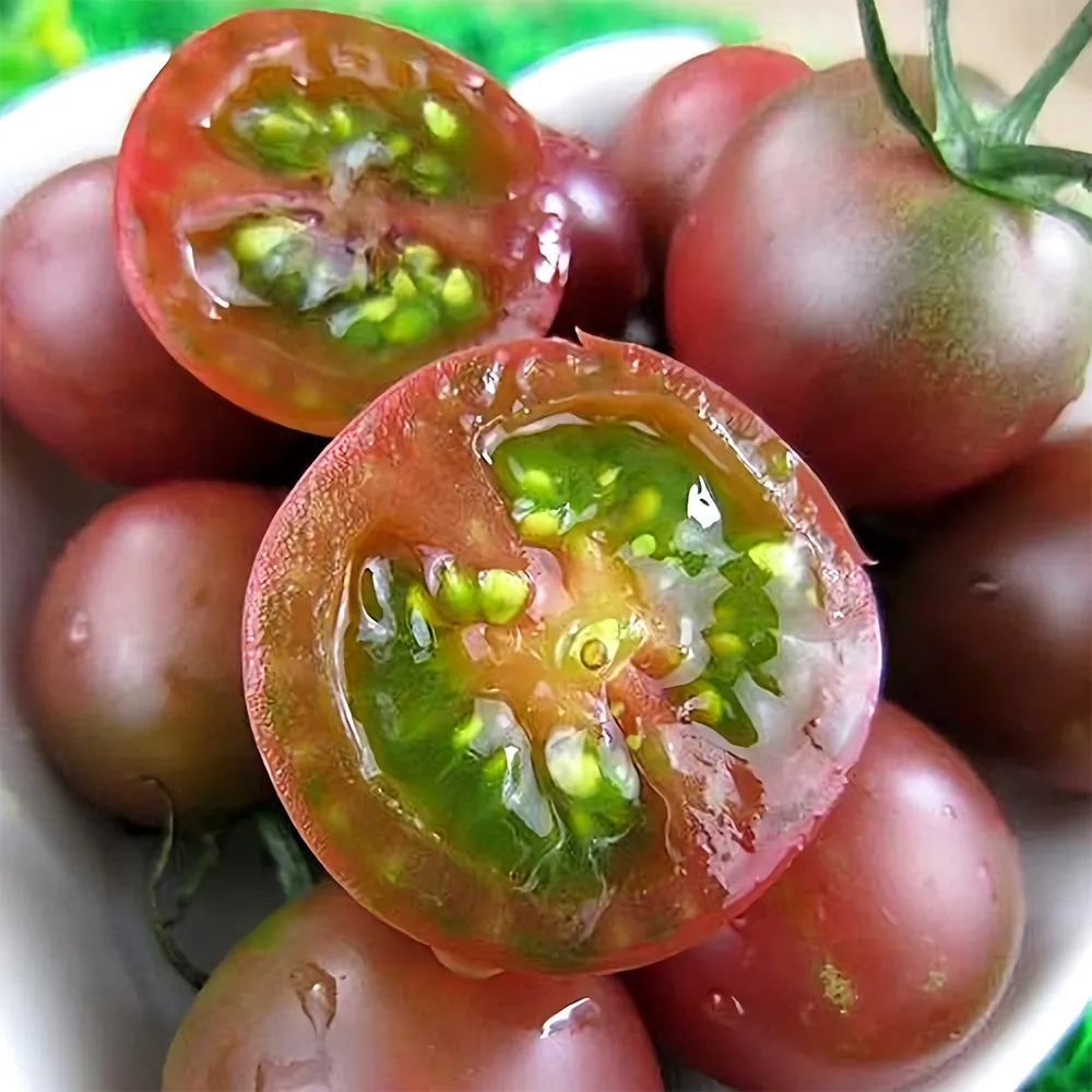 Garden Jewels: 5 Bags (100 Seeds / Bag) of &#39;Purple Pearl&#39; Cherry Tomatoes - £11.00 GBP