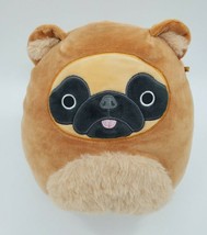 Squishmallows Dally Pug Dog Brown Squad Bear Suit Costume 9&quot; Plush Toy B305 - £11.70 GBP