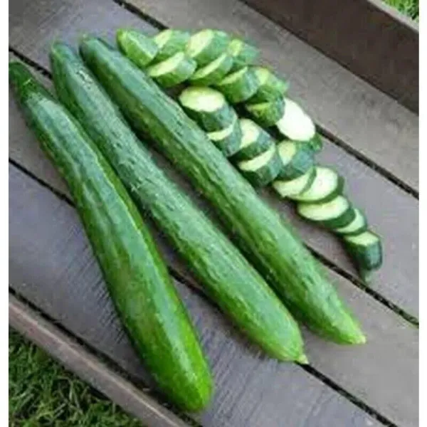 Fresh New Japanese Long Cucumber Grow Vegetable Garden Pickling 25 Seeds - £10.16 GBP