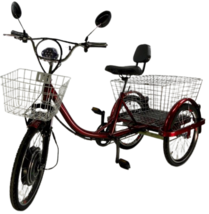 Cozytrike Electric Trike - Variable Speed Control for Customized Riding - £1,336.06 GBP