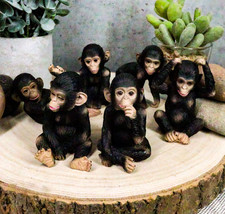 Ebros Whimsical Monkey See Monkey Do Set of 6 Chimpanzee Multi Pose Figurines - £30.48 GBP